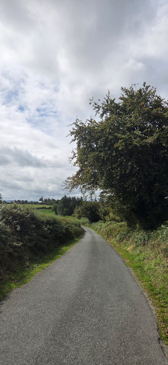 fitzyok's tweet photo. An chéad lá(1st. day) de Mheán Fómhair(mid Autumn/Sept.) Maidin deas ach cuma báistí air(nice morning but rain threatening).Féar ag fás arís(grass growing again).Na ba breá sásta ag ithe féir sa ghort(cows grazing happily in the field).
#200DaysofGaeilge
#200Daysofwalking https://t.co/VKqiH9SKv8