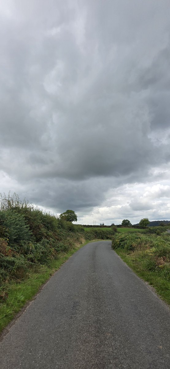 fitzyok's tweet photo. An chéad lá(1st. day) de Mheán Fómhair(mid Autumn/Sept.) Maidin deas ach cuma báistí air(nice morning but rain threatening).Féar ag fás arís(grass growing again).Na ba breá sásta ag ithe féir sa ghort(cows grazing happily in the field).
#200DaysofGaeilge
#200Daysofwalking https://t.co/VKqiH9SKv8