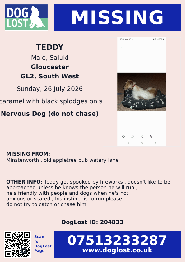 millypod1's tweet photo. 🆘26 JULY 2026 #Lost Teddy #StillMissing
YOUNG Saluki Cross Male #PUPPY
Old Appletree Pub, Watery Lane #Minsterworth #Gloucester #Gloucestershire #GL2
https://t.co/f8lGt9wEf4 https://t.co/RnMKqgyLco