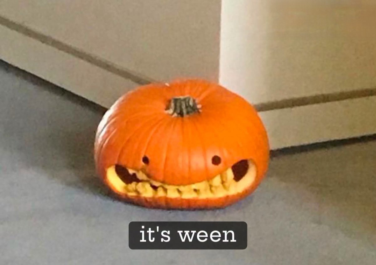 eghkeavni69741's tweet photo. Happy September 1st 🎃🖤 https://t.co/0TpcbtMXRW