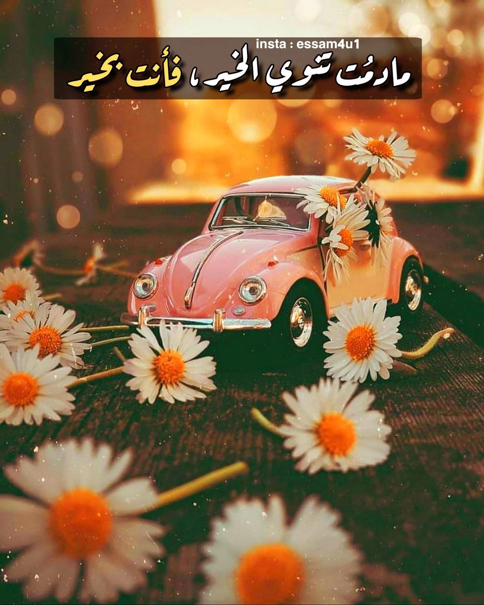 A____2_x's tweet photo. مادام القلب سليم والنية صافية
فالإنسان دايماً في راحة وسعة بال
كل ما زرعت طيب في طريقك ومع الناس
رجع لك الخير أضعاف ومسّ قلبك قبل غيرك
فالطيب ما يضيع 
واللي يراعي الخير ويداريه في أفعاله وكلامه
يكفيه إنه عايش مرتاح الضمير مطمئن النفس.

عسى أيامكم كلها خير وتوفيق https://t.co/Tue2oj34Xr