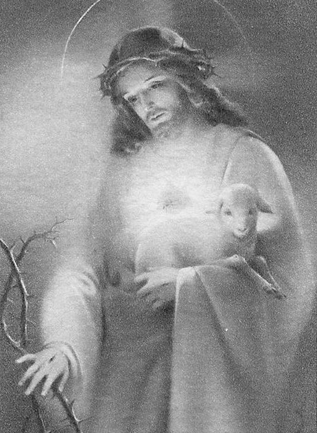 qaartzz's tweet photo. The Lord is my shepherd; there is nothing I shall lack. https://t.co/an1Kkdv38G