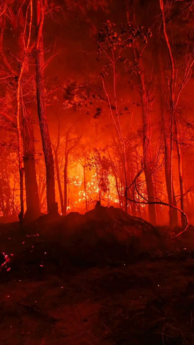 bismillahyuk_'s tweet photo. INI BUKAN AI, INI DI KALIMANTAN!!

THIS NOT AI, THIS IS KALIMANTAN!!

#PRAYFORKALIMANTAN
#PRAYFORINDONESIA
#ALLEYESONINDONESIA https://t.co/BXoqEkGxsK