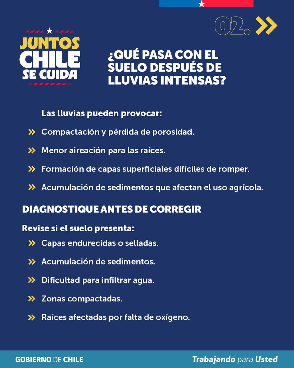 MinagriCL's tweet photo. 🌧️🌱 Las lluvias intensas pueden provocar compactación, pérdida de porosidad, menor aireación de las raíces y acumulación de sedimentos, afectando el desarrollo de los cultivos.

👉 Revisa las siguientes recomendaciones elaboradas por la Unidad de Gestión de Riesgo de Desastres Agrícolas (UGRA) del @MinagriCL para diagnosticar y recuperar los suelos afectados.