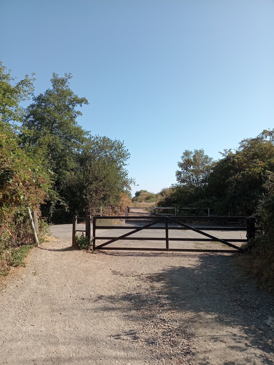 phil0073's tweet photo. The road crossing by #IrthlingboroughRailwayStation (1845-1964) on the #LNWR #NeneValleyRailway.On the #DitchfordRailwayStation (1845-1924,goods till 1950s) side. Now a #Greenway , #Northamptonshire #PhilOnaBike #TuesdayTracks #Thursgate #railways @LoveOfGates https://t.co/C2IcibYGPe