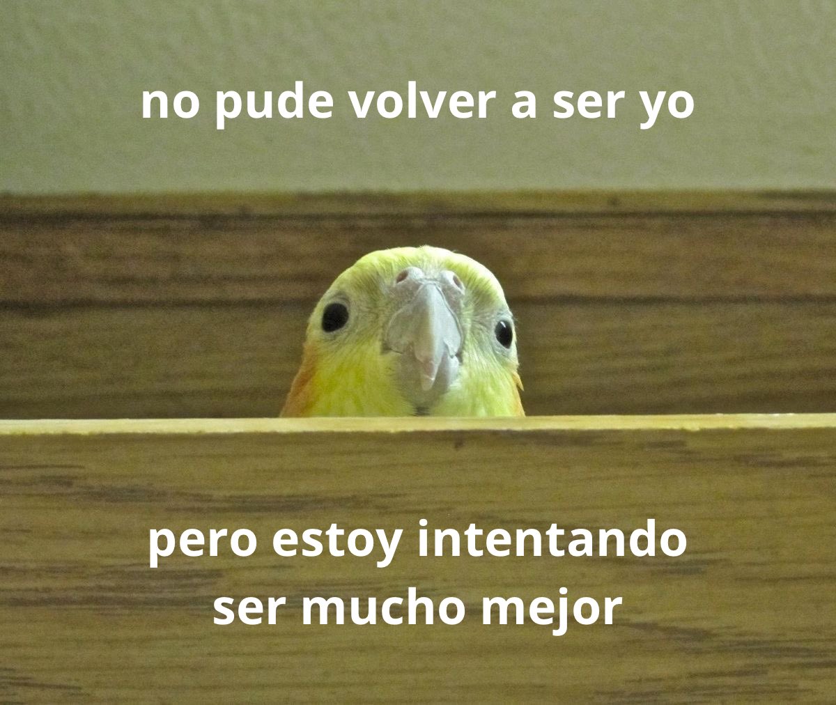 conoloracigarro's tweet photo. https://t.co/umjPGy1HIJ