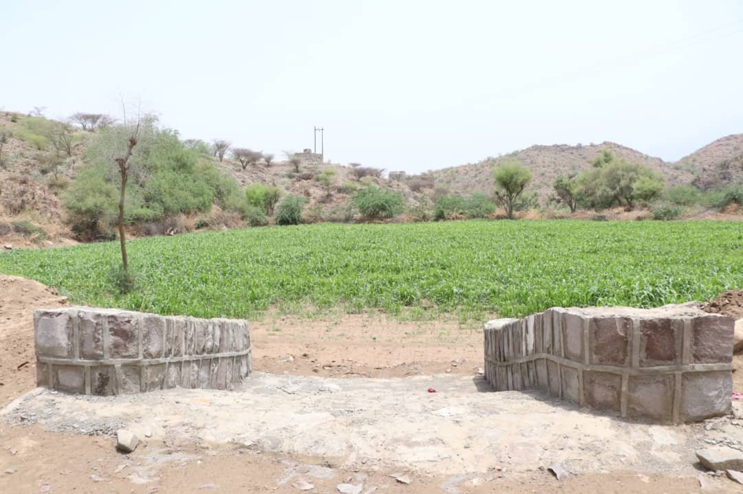 SFDYemen's tweet photo. Local experts warn that dividing SFD would disrupt value chains production &amp; income, and would shift millions of farmers to unemployment &amp; dependence on humanitarian aid. Poverty can be addressed thru the SFD support for livelihoods, jobs, skills, market access, microenterprise. https://t.co/2Uw7qgBtLT