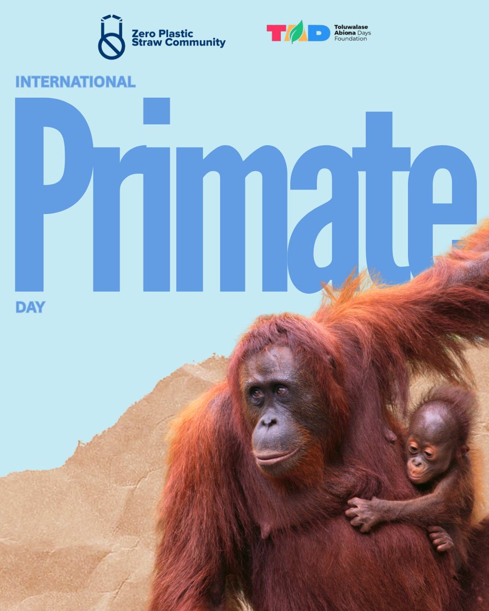 ZPSCommunity's tweet photo. International Primate Day https://t.co/LBRzX0b8nf