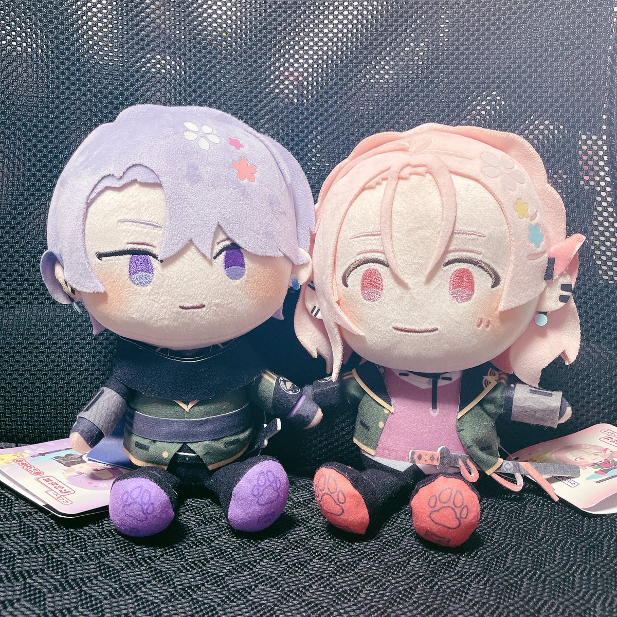 arcarei192's tweet photo. 私の家に来たわんぱくさんを紹介していなかったので紹介します￼￼￼￼￼￼🐾
1枚目：頭との対面
2枚目：先住犬との対面
3枚目：運ばれてきた箱の中

大変可愛いです🥳🥳 https://t.co/L3O1o3qC3D