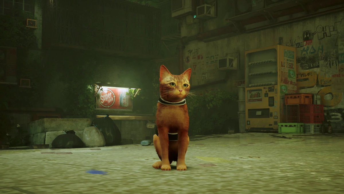 PallasGem's tweet photo. Mod idea, the Cat in Stray replaced with a manul https://t.co/An3aqfop2C