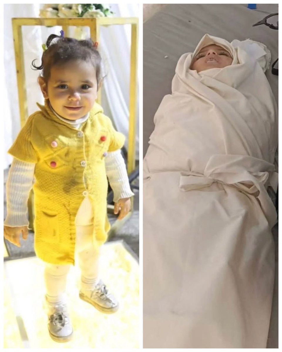 EyeonPalestine's tweet photo. From a smile that brightens life to a white shroud.. The child Lama Mohammed Habib, one of Gaza’s children martyred in an Israeli airstrike in the Katiba area this morning, adding her name to a long list of innocence shattered by war. Our children are not just numbers; they are dreams stolen by the killing machine every day.

من الابتسامة التي تملأ الحياة إلى كفن أبيض.. الطفلة لمى محمد حبيب، إحدى أطفال غزة الذين ارتقوا إثر قصف الاحتلال لمنطقة الكتيبة بغزة هذا الصباح، ليُضاف اسمها إلى قائمة طويلة من براءةٍ اغتالتها قسوة الحرب. أطفالنا ليسوا أرقاماً، بل هم حكايات تسرقها آلة القتل كل يوم.