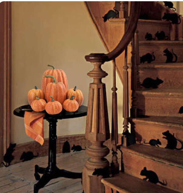 RBurow's tweet photo. Get a pile o' pumpkins, some for peanuts. 🎃https://t.co/WRWniavBOL https://t.co/w9lEEiAkEK