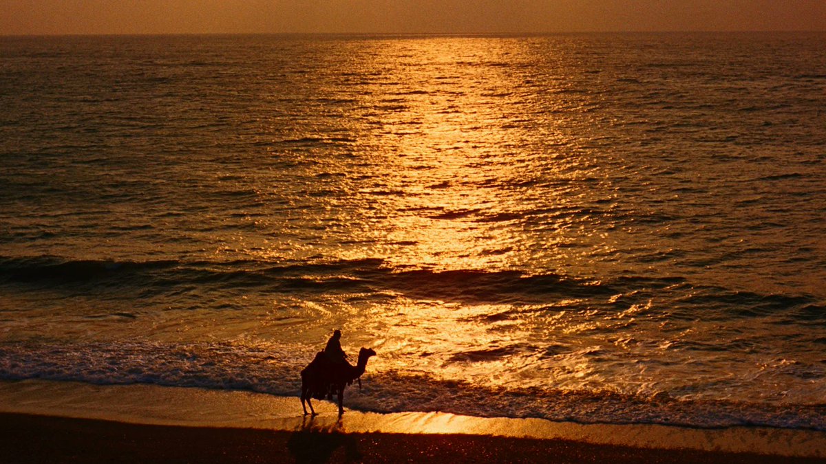 waynesfury's tweet photo. lawrence of arabia (1962) - dir. david lean https://t.co/IZDu353VYU