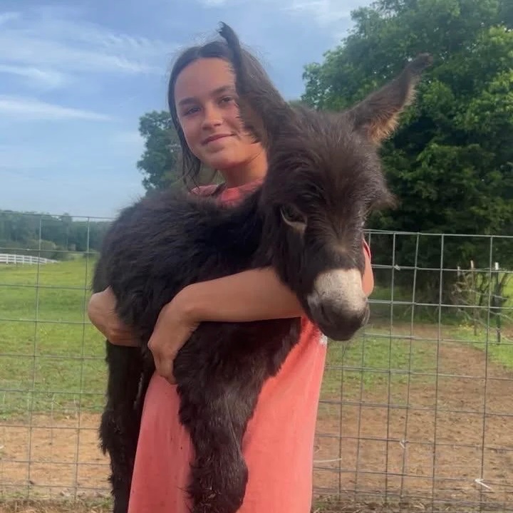 interesting_aIl's tweet photo. The farm owner whose pet baby donkey was shot and killed by police during a missing person search has paused GoFundMe donations

Money can be returned and will not be used for personal needs https://t.co/TGpegfc12z