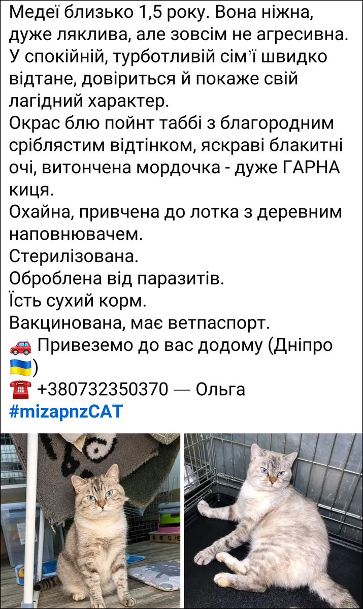 Bylbyleva's tweet photo. https://t.co/9RybQs8apS