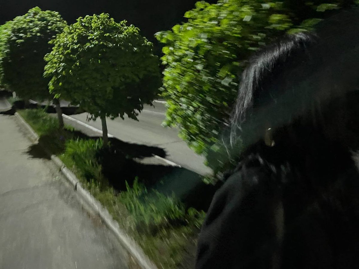 roe_corny's tweet photo. a walk under the night sky🌃 https://t.co/TbsMoGdyTw
