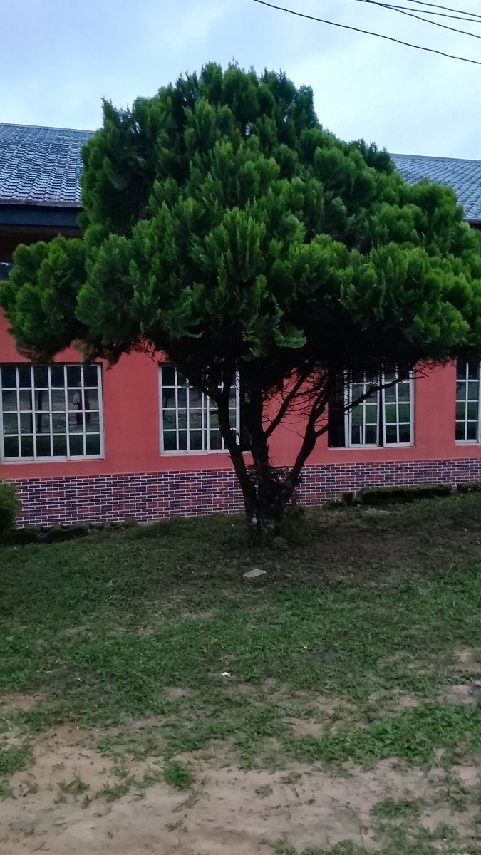 HappinessBieh's tweet photo. Beautiful environment https://t.co/Tzilc5EmDS