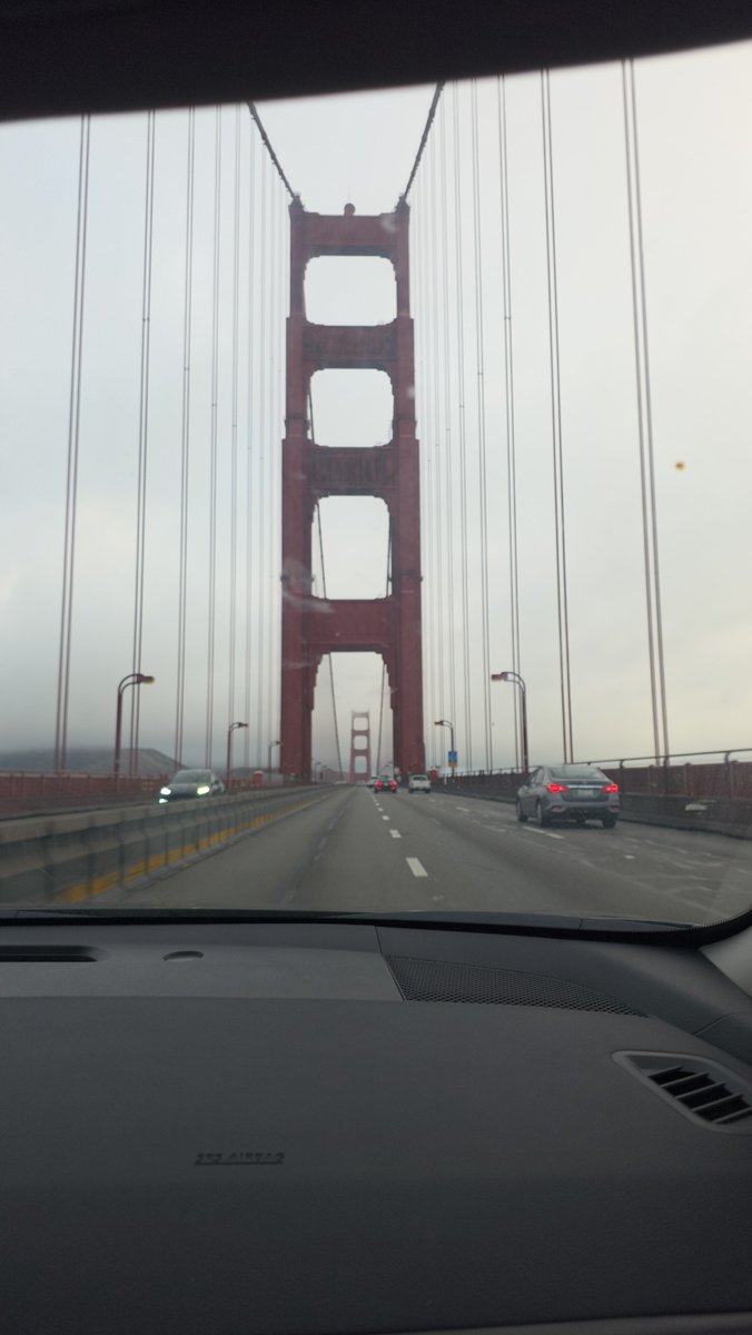 Shawntaylorjr89's tweet photo. Last Day in San Fran 👀 Seeing ALL the sights, taking it all in 🤙🏽#reflecting
#victoryroad #pokemonislife https://t.co/eTTlRTeqpd
