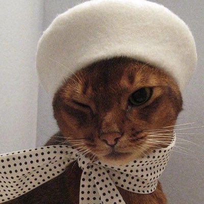 SmomvkSm's tweet photo. #صورة_جديدة_للملف_الشخصي https://t.co/uiBy9yRLV8