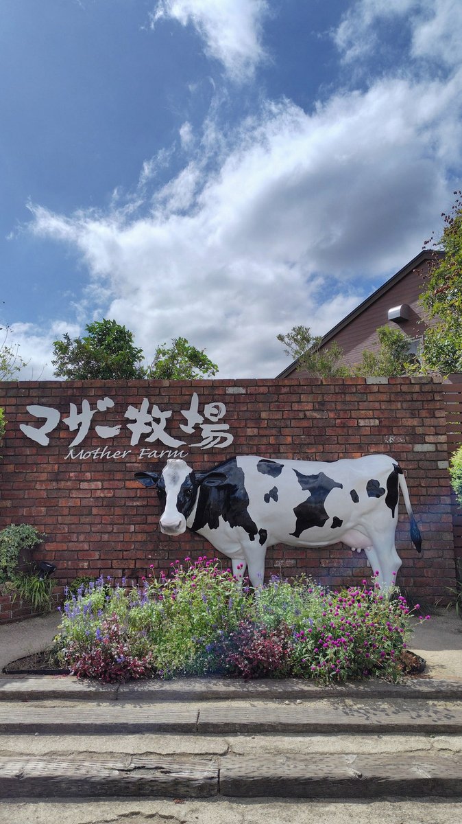 JasonLevesque23's tweet photo. とある意味わかんない動画のせいで耳が痛い。。
あの画像ほんとに怖いし夢に出そう。。😭
あの動画作った人痛い目見ろ‼️🫵︎😭 https://t.co/CmuxGugrKL