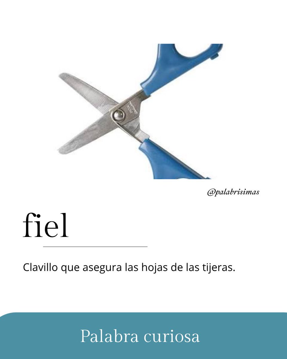 Palabrisimas's tweet photo. ✂️ Lo has visto cientos de veces, pero probablemente no sabías que tenía nombre.

El fiel es el clavillo que asegura las hojas de las tijeras.

Sí, hasta ESA piececita tiene nombre.

¿Lo sabías? 👀

#Palabrísimas #PalabrasCuriosas https://t.co/TQsmgLjYdt