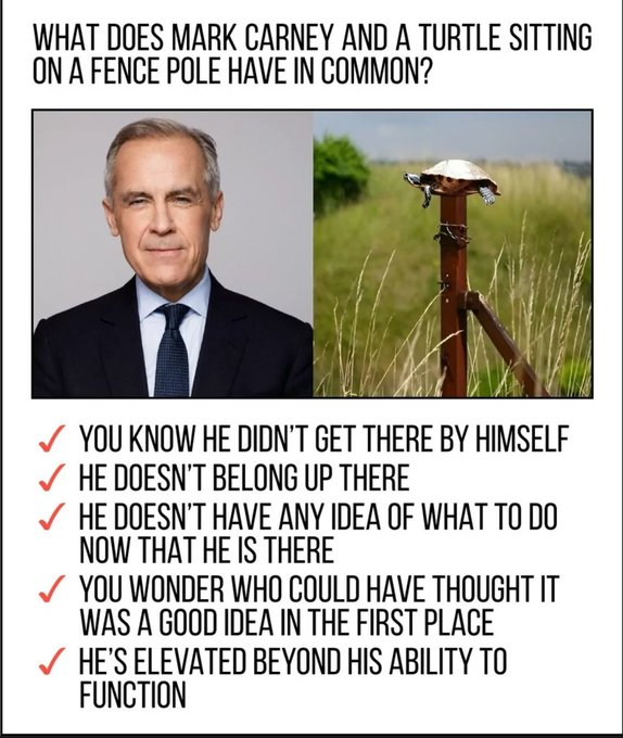 RobertW96576248's tweet photo. https://t.co/ri5QEUfUPf