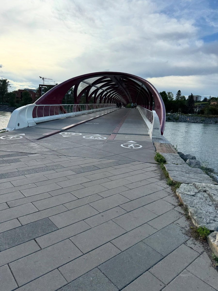 CyrilRunkle's tweet photo. Finally crossed the Peace Bridge—turns out it leads to geese, flowers, and a gentle reset. https://t.co/1PVCq4bX78