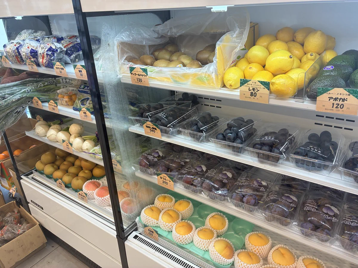 Reposts by 【公式】さくらみくら便利店 (@sakuramikura_jp) / X