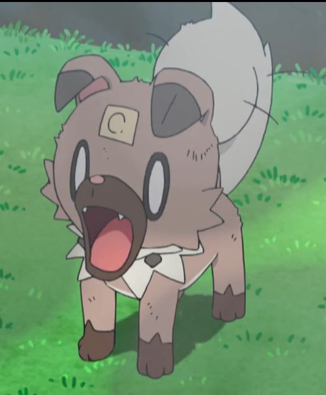 Acervo_rockruff's tweet photo. Rockruff muito gag com a quantidade de acervo pokémon https://t.co/0e5PH3ZxPO