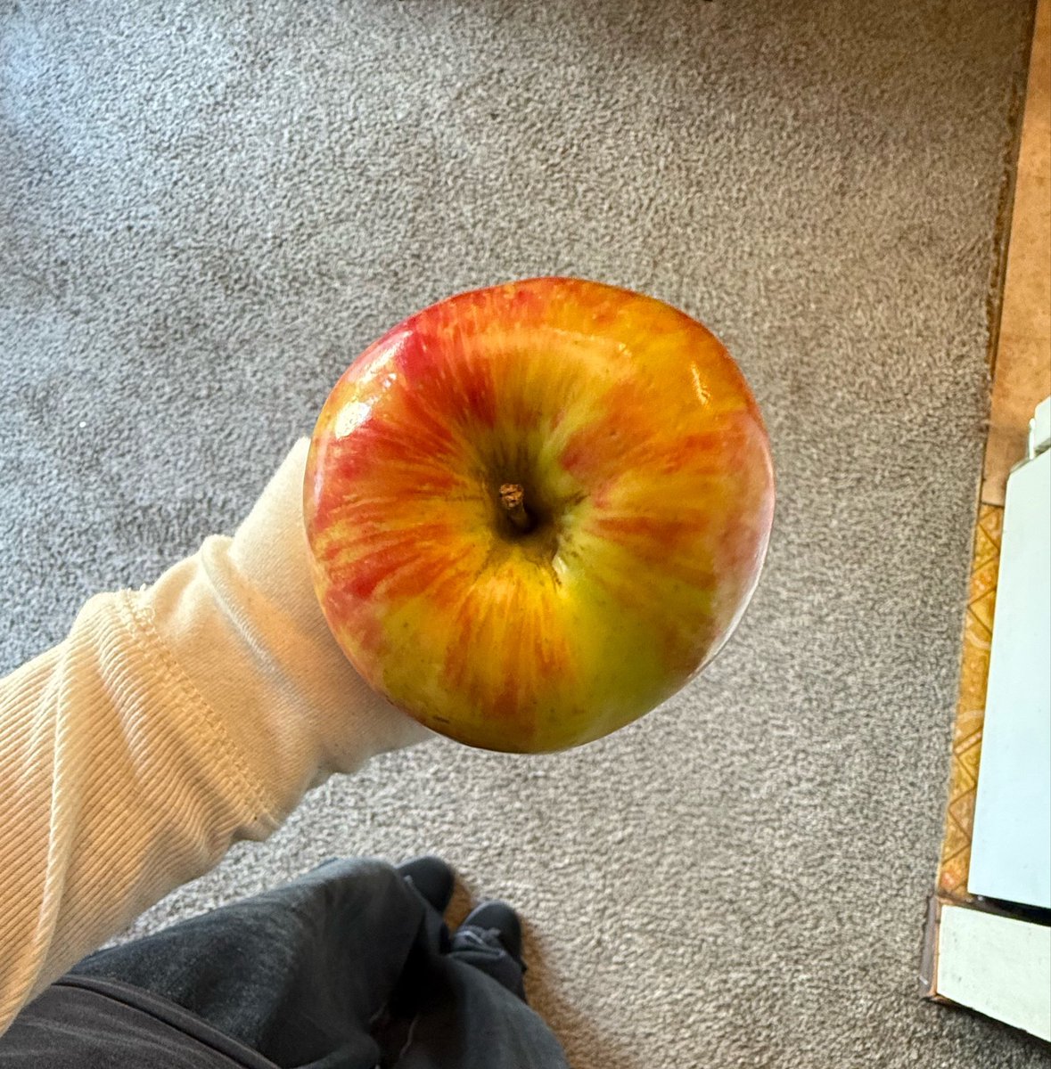 gentlelapin's tweet photo. biggest apple ever for my omad
came out to be around 450g without the core (238 cals) https://t.co/TWv4Lc5vMA