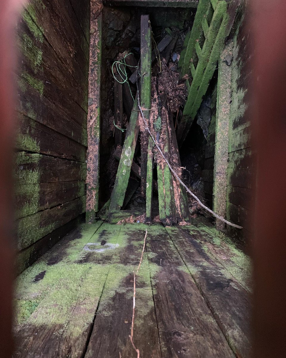 CucThibideau's tweet photo. Off-road two-up on the V-Strom to the Lucky Jim gold, copper, and silver mine on Quadra Island. https://t.co/M6DUbcLxQH