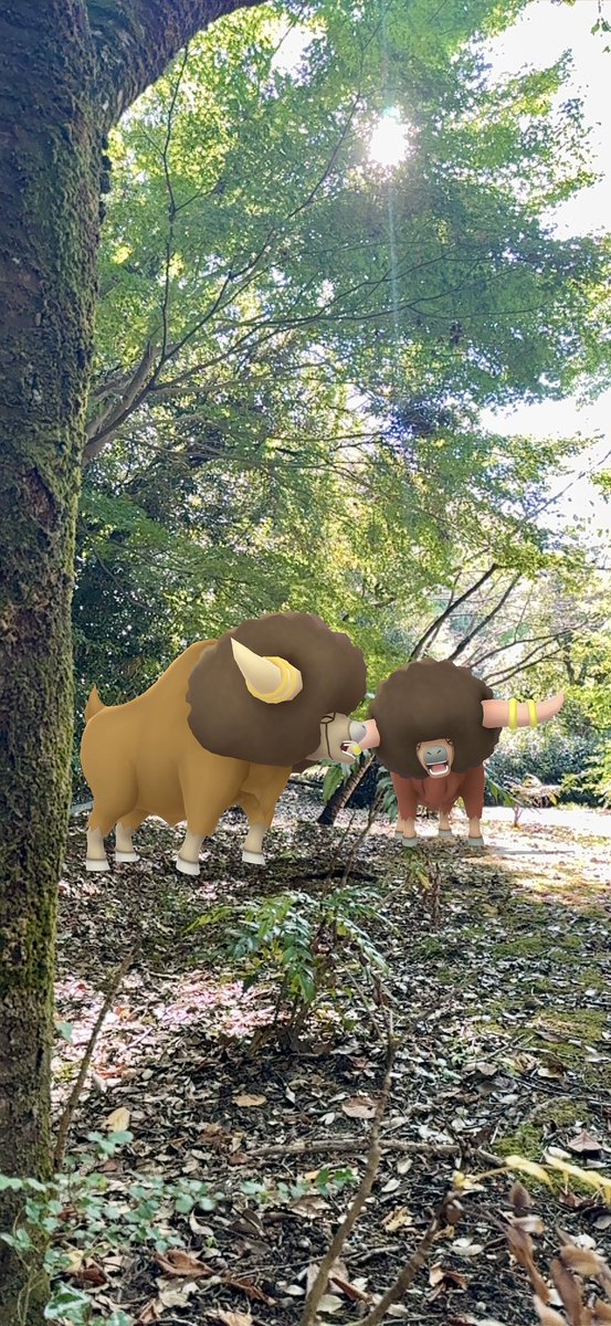 wenty_222's tweet photo. 🦬
#GOsnapshot #GOsnapshotCelebration 
#ポケモンGO #PokémonGo https://t.co/3zNFctXvzO