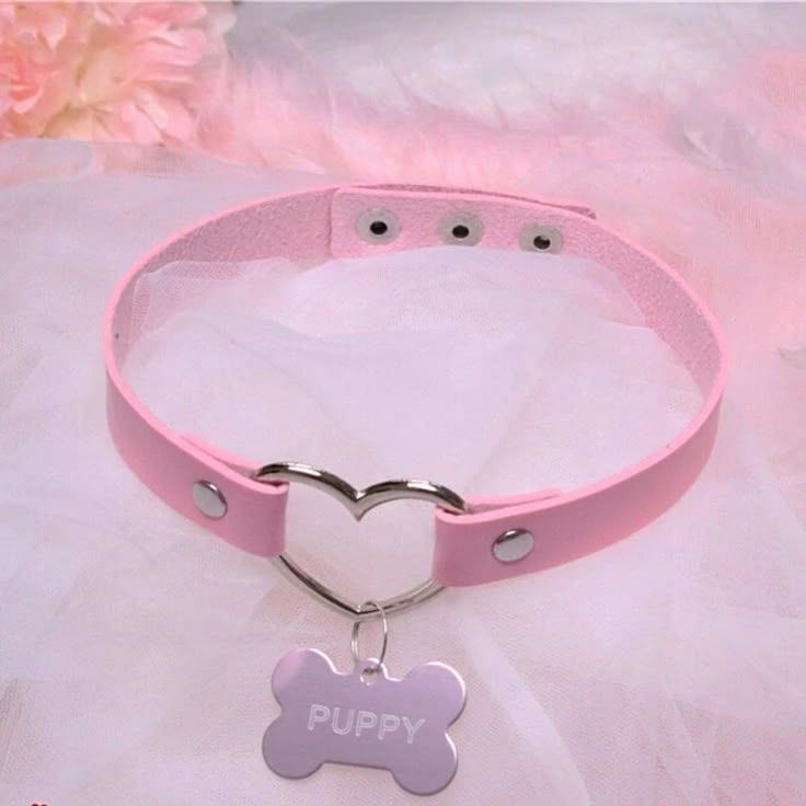 pup4ws's tweet photo. ⊹ ࣪ ˖꒰ঌ ໒꒱.⋆˚࿔
new #nsfwtwt pinned (´∀｀*)

🪽19 , she / they , bi 
     soft , hard , &amp; taboo kinks ‹𝟹
ur sweet angelic pup 🐾
    🦴 val &amp; ow , selective dms !! https://t.co/NqJMGJjleS