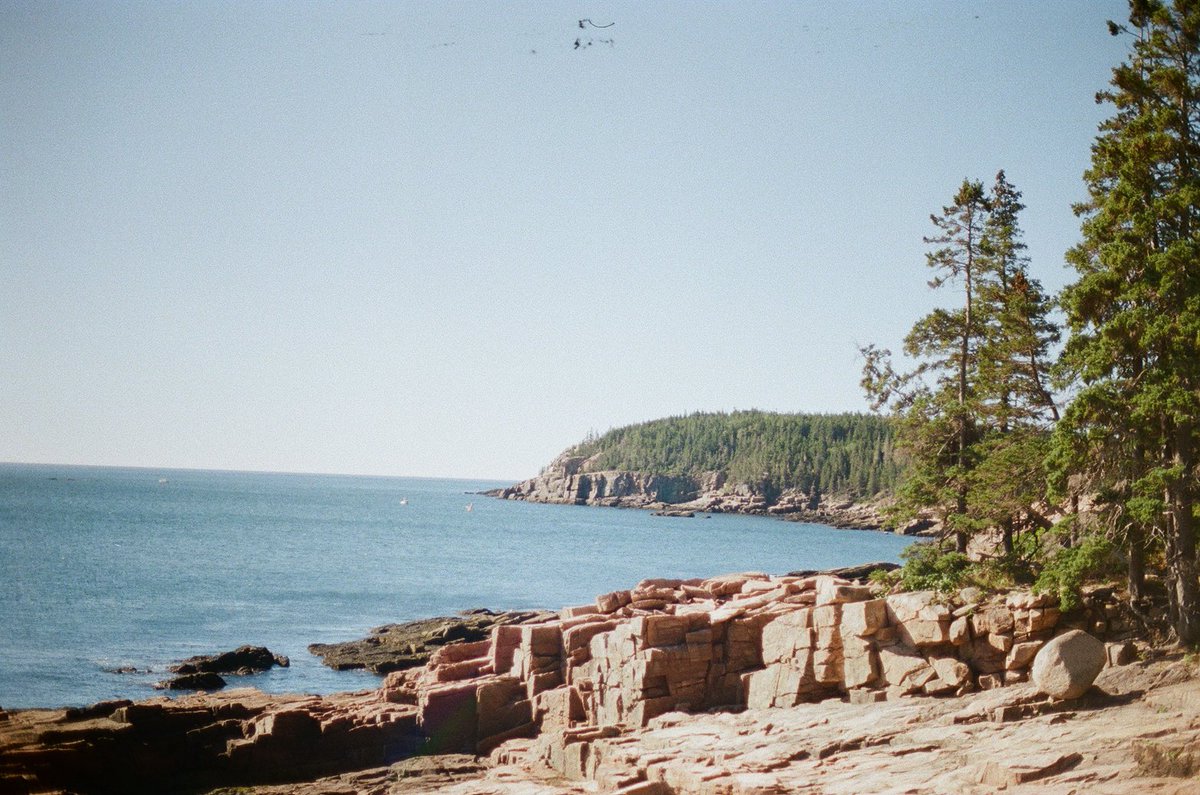 carolinancowboy's tweet photo. Acadia National Park on film https://t.co/btjTn4BaVH