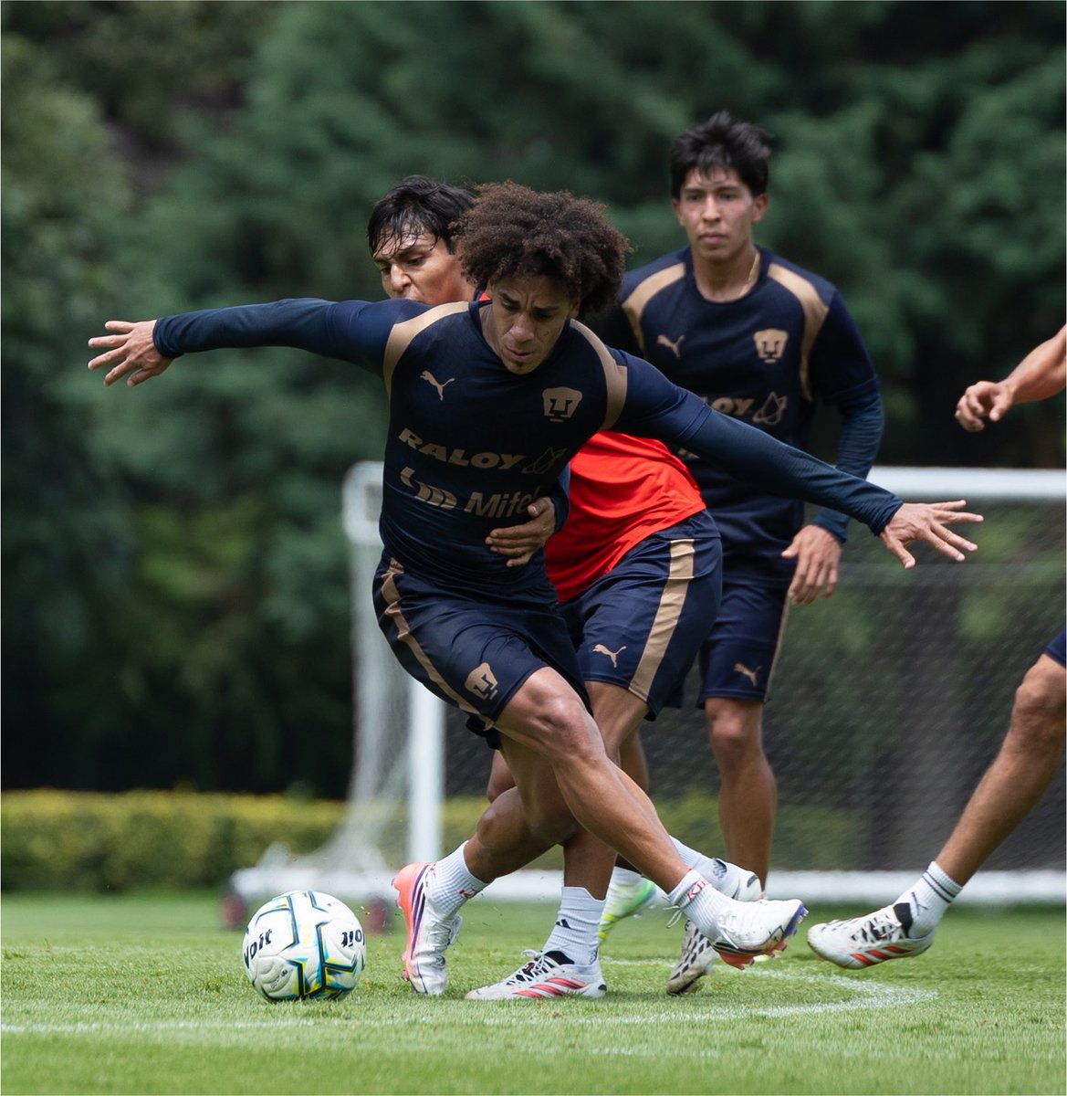 PumasMX's tweet photo. 👊 Convencidos de quiénes somos y de lo que defendemos, asumimos la responsabilidad y trabajamos hacia adelante.

Enfocados en los retos que vienen y con la convicción de sumar en cada entrenamiento. 🐾💙

#SiemprePumas https://t.co/petCgTC4Zm