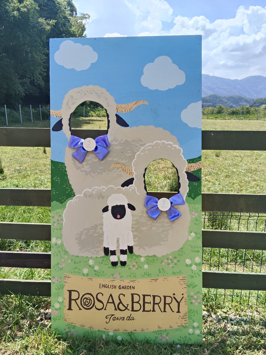rbdoubutugakari's tweet photo. 🐑✨今日から登場✨🐑

わくわくファームのブラックノーズエリアに、顔はめパネルが登場します！

青空と山々をバックに、羊になりきってみませんか？🌿⛰️
ご来園の記念に、ぜひ写真を撮って楽しんでください📸💙

#滋賀
#米原
#ローザンベリー多和田
#ヴァレーブラックノーズ
#ひつじ https://t.co/XCE1qKda3g