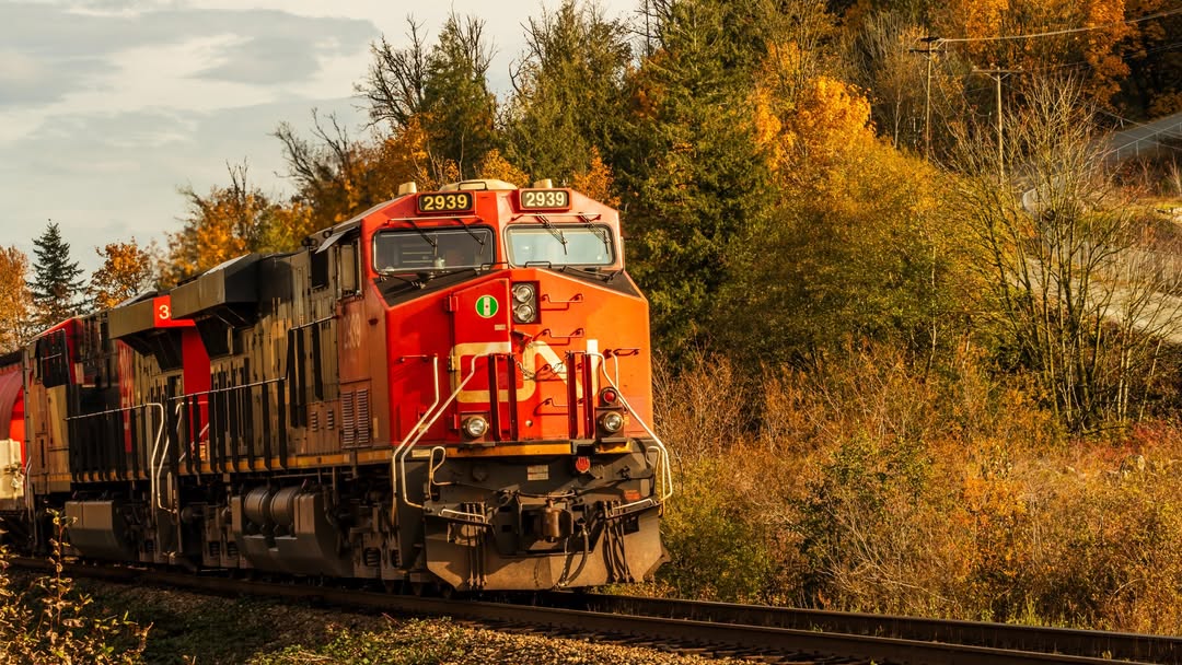BariHanisch's tweet photo. Fall colors with a CN Rail train in Abbotsford, BC. https://t.co/1kRSfrv2td