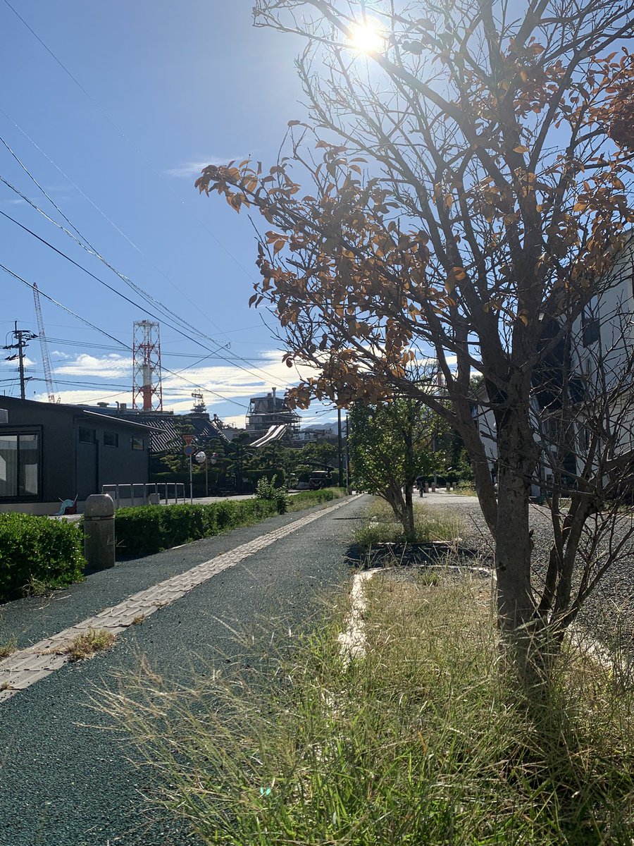 onisaka_seafood's tweet photo. おにさかの日奈久ちくわが食べていただいた人にとってのそういった存在になっていればなあと、焼きながら思っております笑‼️

ぜひ、見かけられましたらご購入お願いいたします‼️

#日奈久竹輪
#熊本地震
#令和8年熊本地震 https://t.co/Xhv6qyztMj