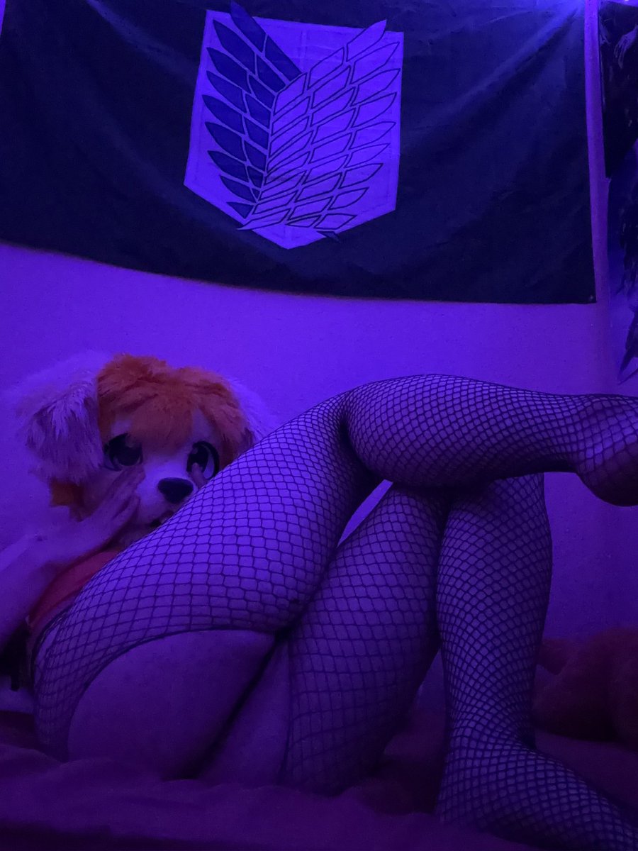 ADMaplesSyrup's tweet photo. Fishnets come pre ripped just for you :p https://t.co/E3eUJlznNv
