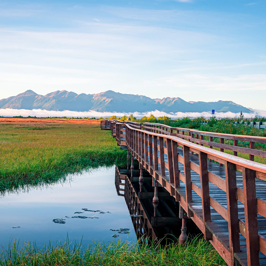 aboattime2's tweet photo. Discover the best of Alaska in Anchorage! 🏔️🦌 Explore scenic trails, spot moose and bears, experience Alaska Native heritage, or catch the northern lights dancing overhead. Let the planning begin! (540) 235-8785 https://t.co/pxrnMKQJL3