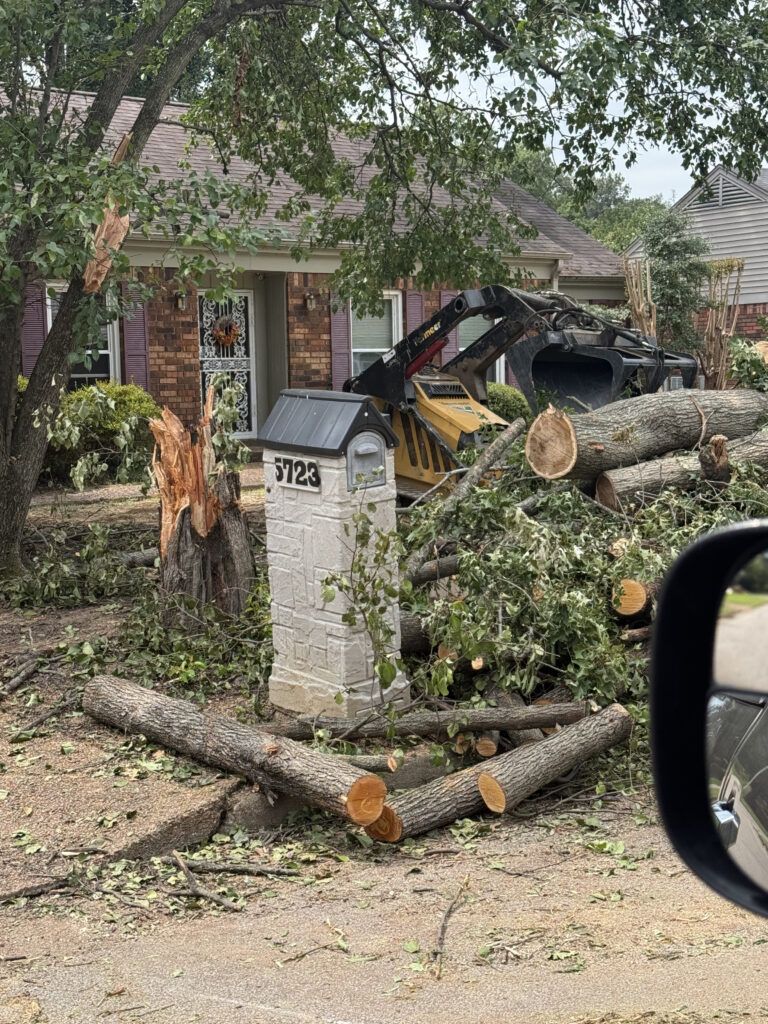 OfficialNOI's tweet photo. Unexpected storm in Memphis still leaves some residents without power amid soaring temperatures https://t.co/Yi05ndhAIA via @TheFinalCall https://t.co/UrtGBmPgu8