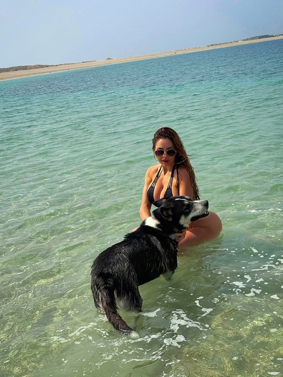 knottingirl_xxi's tweet photo. This is what I can show.
What happens when he knots me deep and fills me over and over stays private.🥵 Inbox me 👇🖇️

https://t.co/zs1KDWoqXS

#Beastiality #Zoophilia #Doggirl #Animalporn #Animalsex #Zootube #dogknot #knotty https://t.co/IzC2LC0tLs