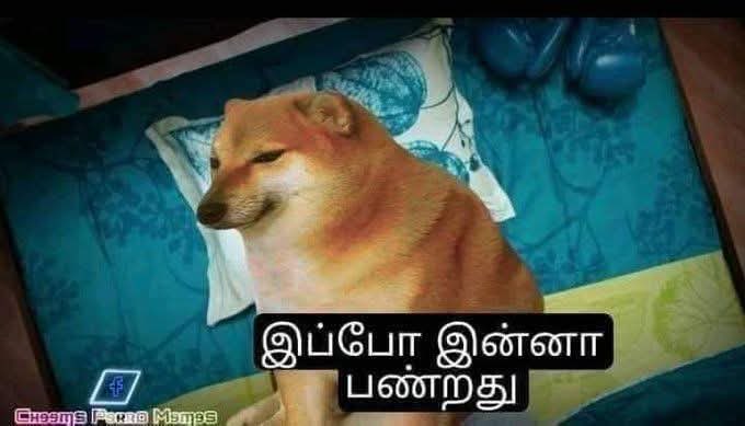 PristliJose's tweet photo. @sunnewstamil https://t.co/UEizLHbP5X