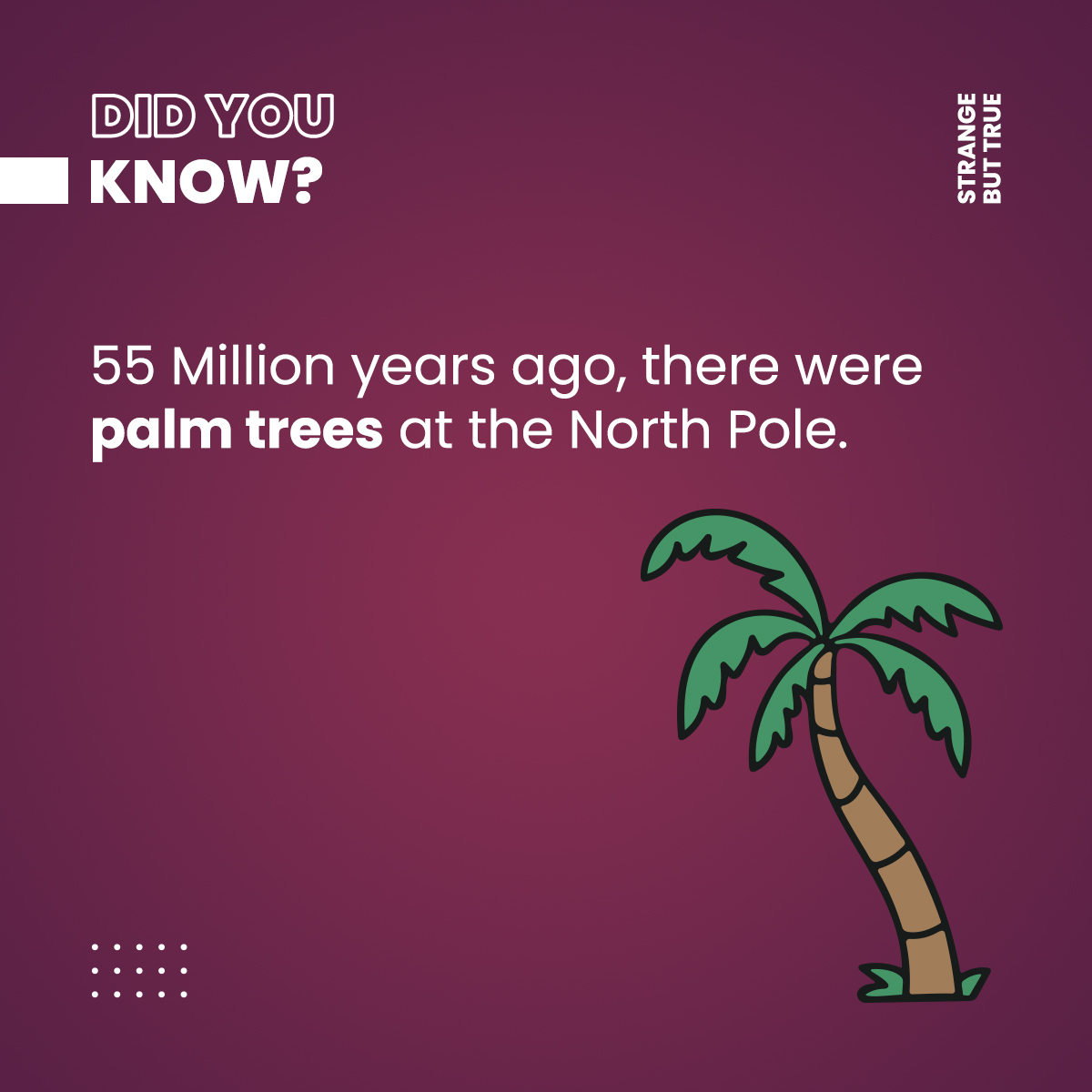 travelsaavy's tweet photo. Earth was way much hotter at the time.

#didyouknow #science https://t.co/SfifNB1nzC