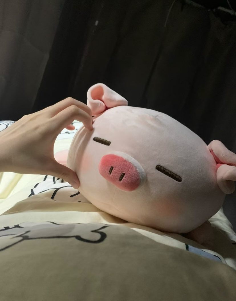 Allyssa2704's tweet photo. 可可爱爱的 抱着小猪猪接着睡觉 #南京 https://t.co/1upqRdRrhs