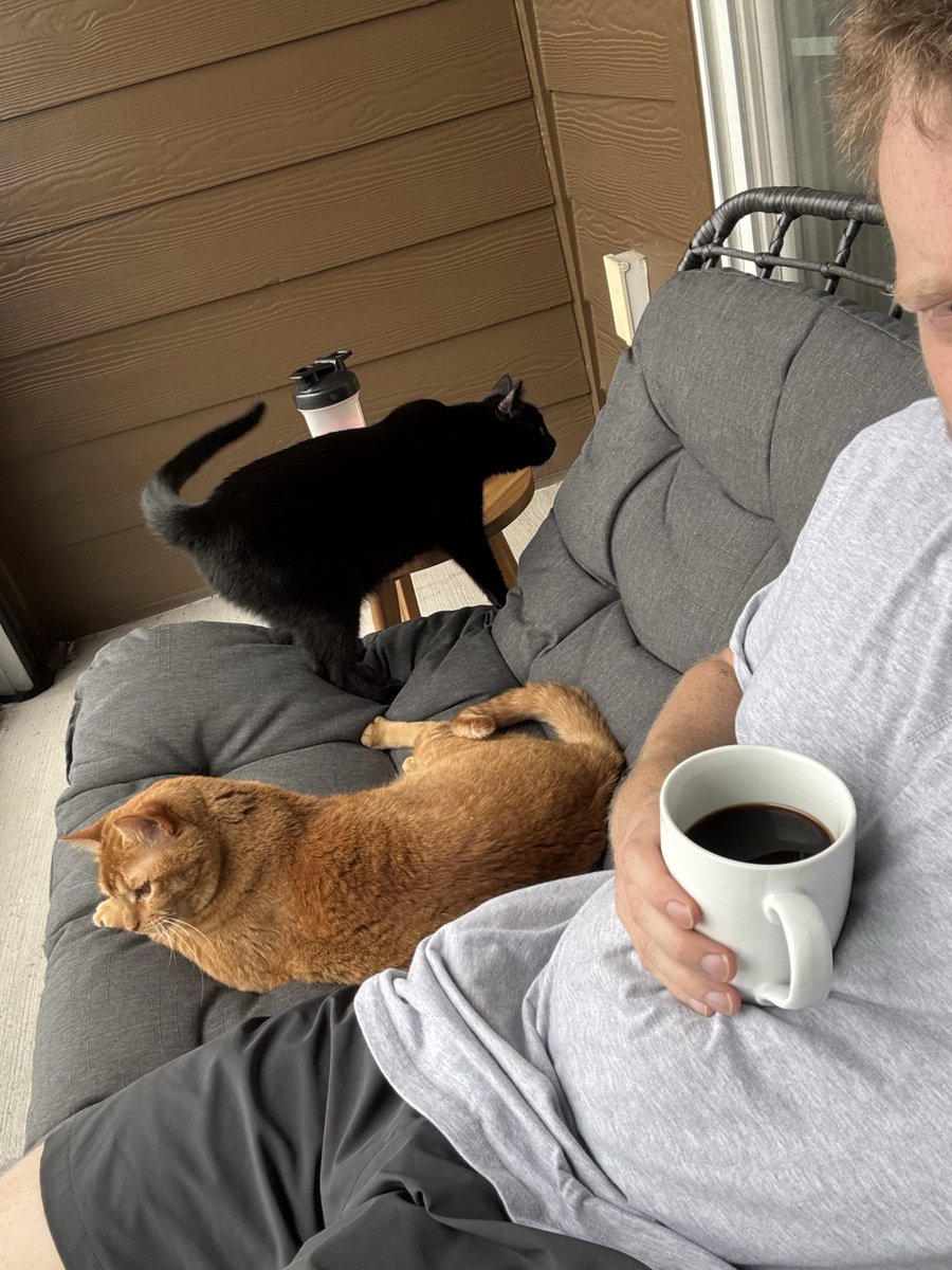 foxyllama11's tweet photo. Since its national ginger cat day. 

Its National Claire day then. https://t.co/L6QIsUXYCF