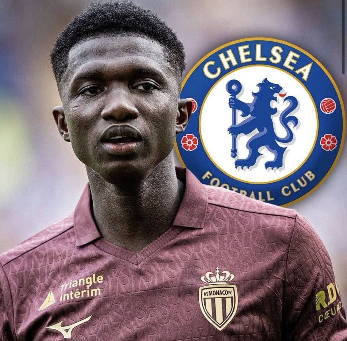 CFCSverige's tweet photo. Lamine Camara till Chelsea för €55m. 

Here we go, @FabrizioRomano. 

#CFCse ✅ https://t.co/YJDxdo8KRh
