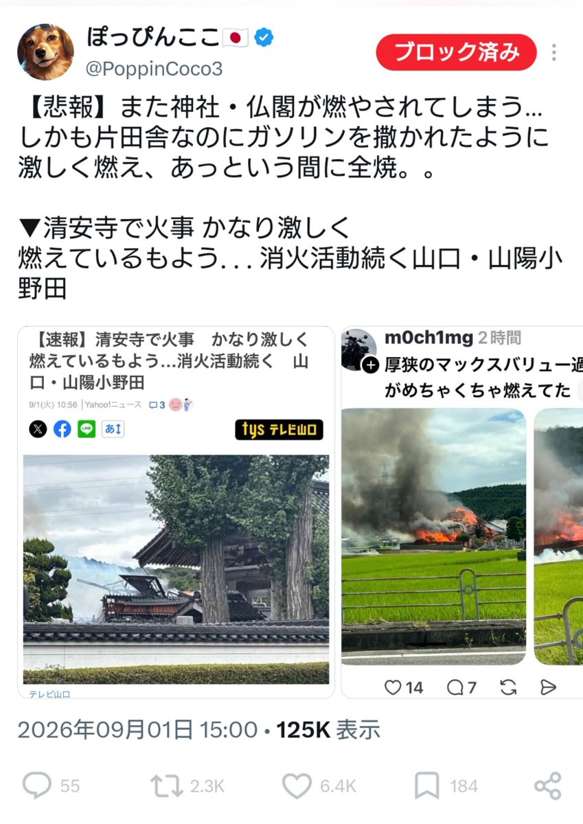yocchi_114514's tweet photo. 清安寺火災で早速陰謀論出てるね
ほんとキモイね早く取り締まって欲しい https://t.co/csMDbAr5i6