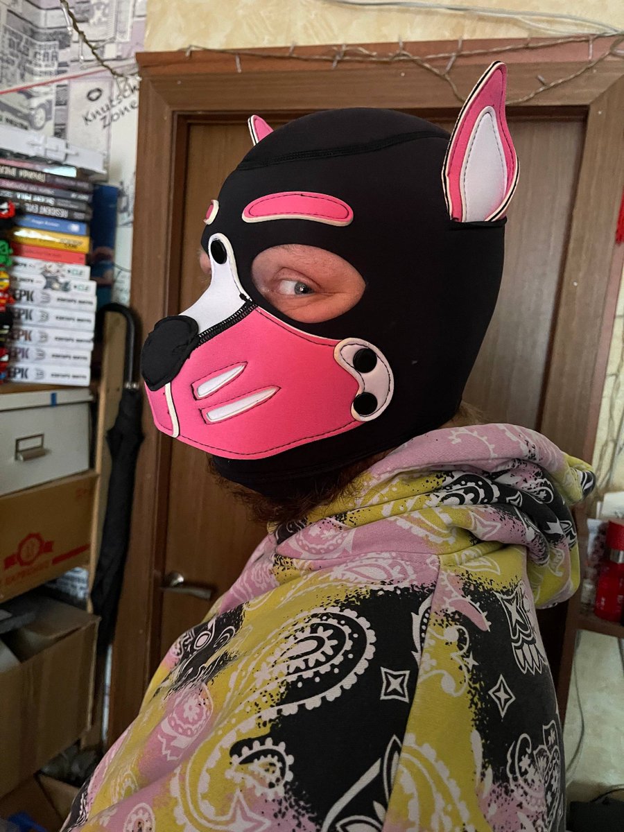 hvostin's tweet photo. Just a pink puppy https://t.co/nZHxtsE2kQ