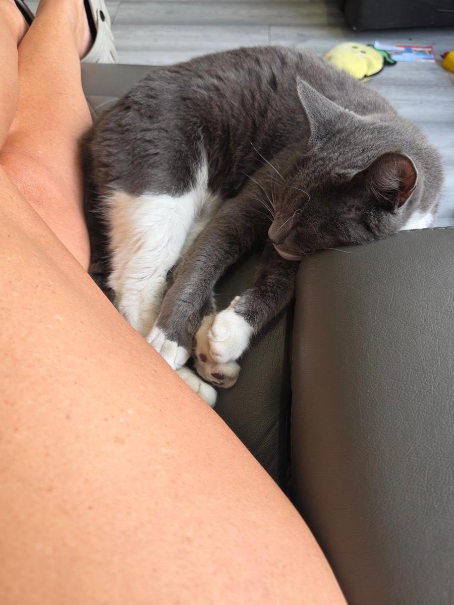 Valeriaisla1460's tweet photo. He loves me xxxx
#London #animallover #cats #Germany #Canada #goodnight https://t.co/OLBXKPhkBN